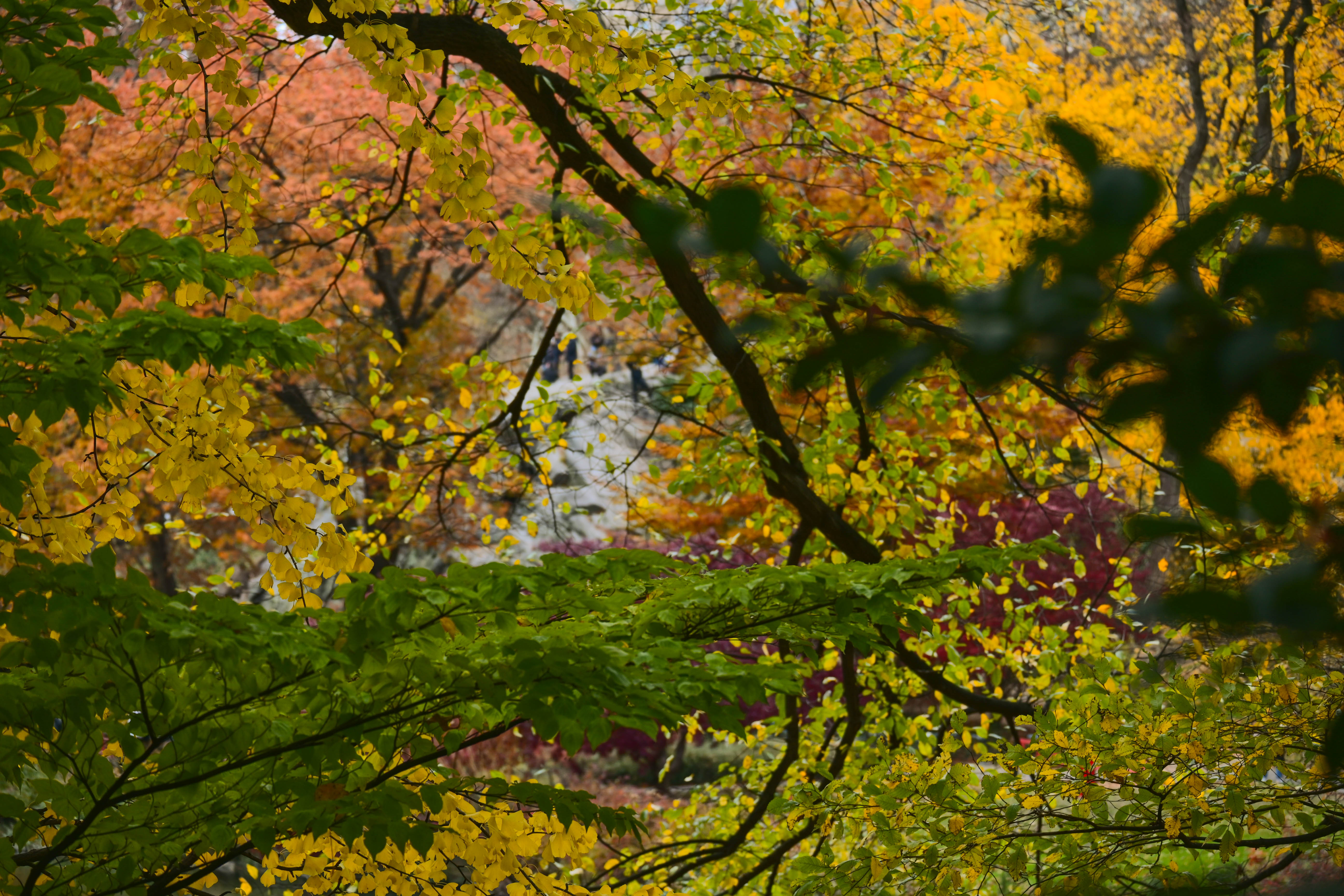 DSC_0057.jpg