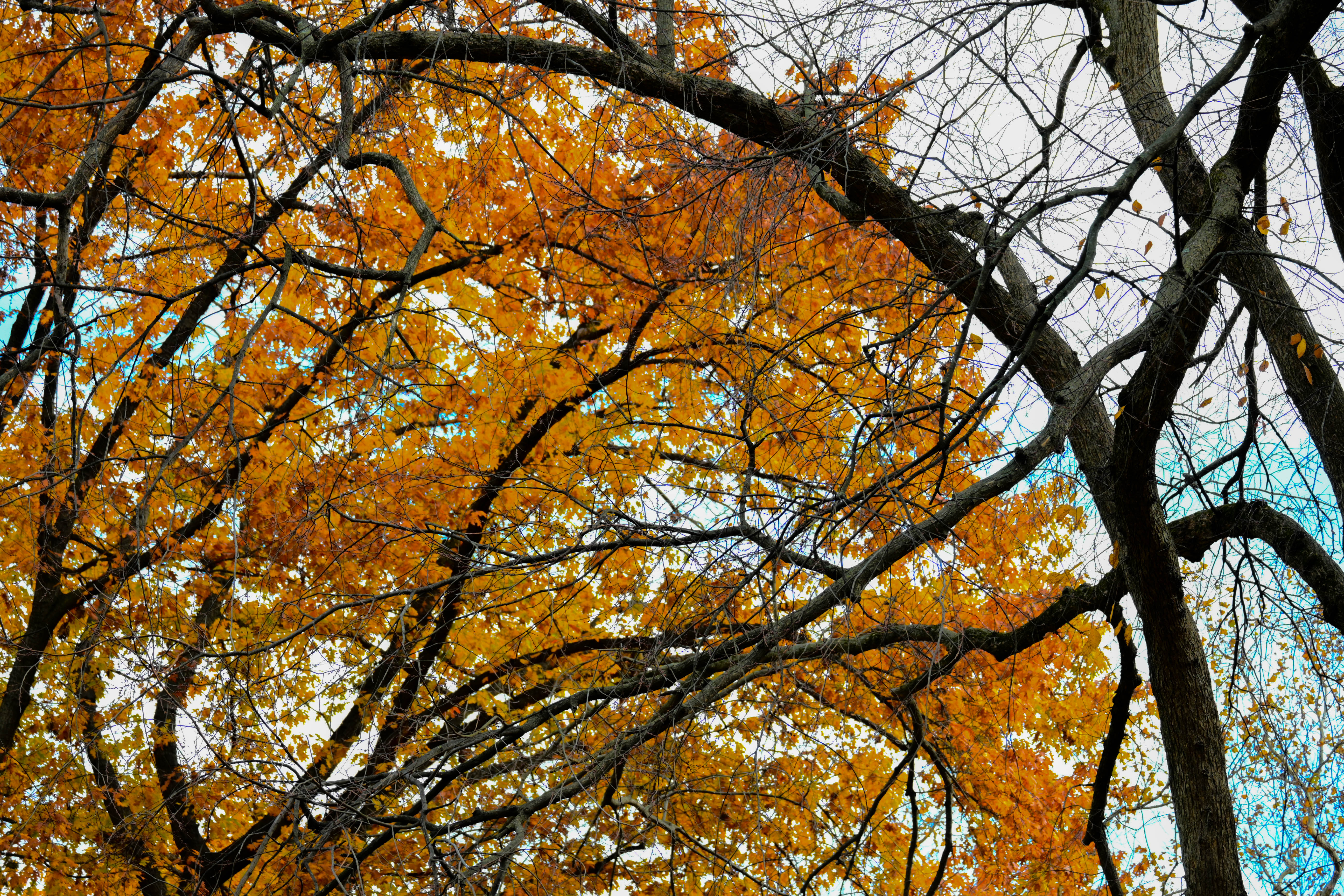 DSC_0127.jpg