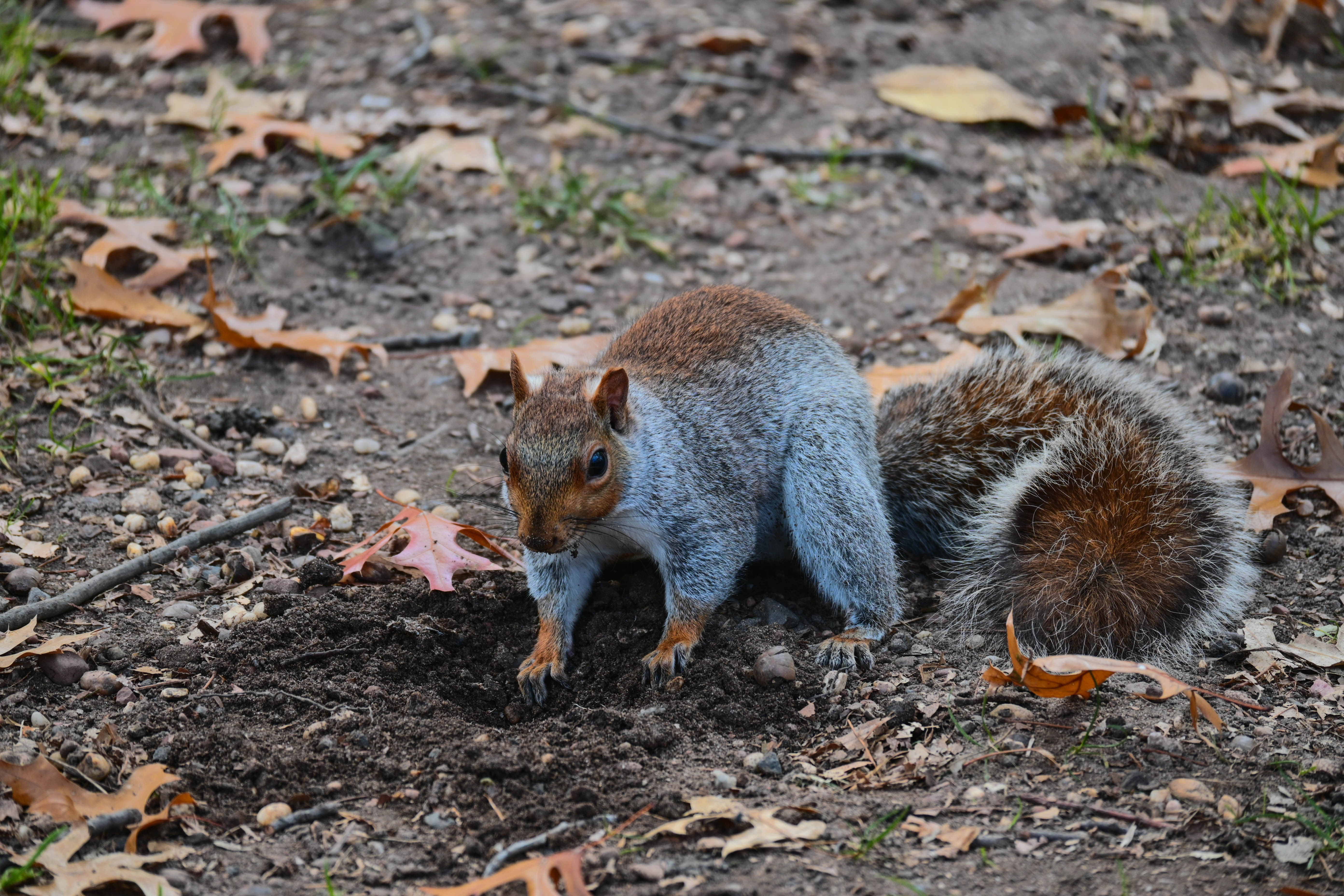 DSC_0130.jpg